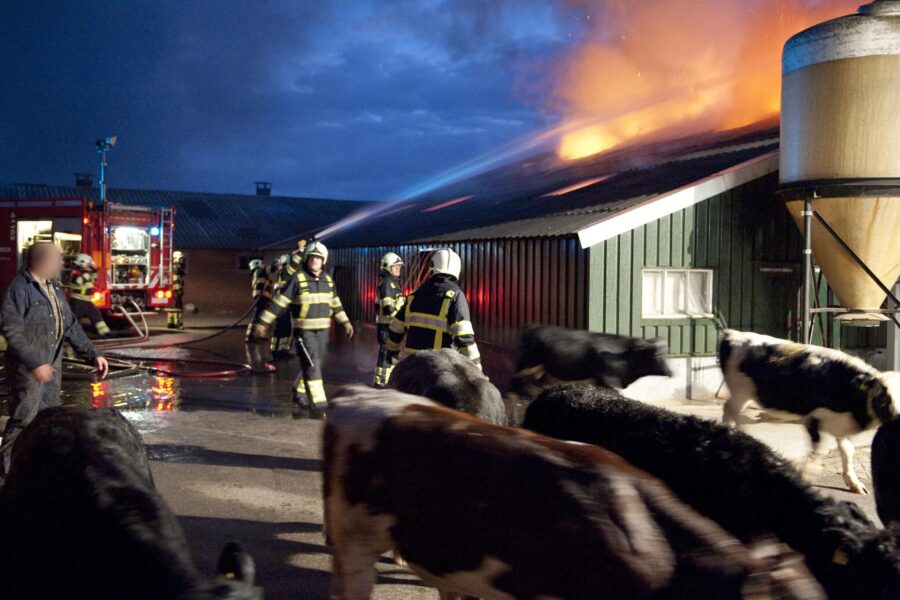 Nieuwe maatregelen moeten het aantal stalbranden en dierlijke slachtoffers verminderen