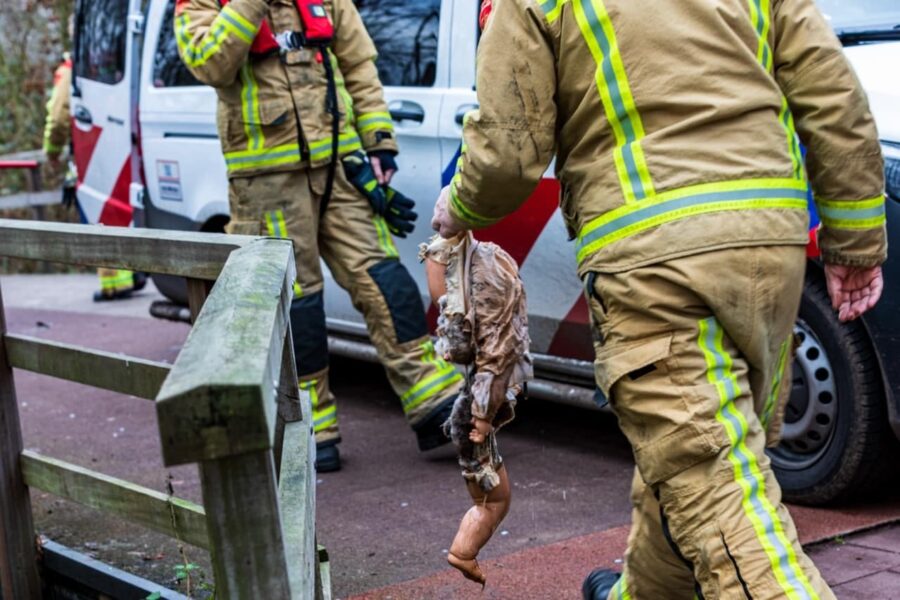 Hulpdiensten rukken massaal uit voor nieuwjaarsduik van paspop