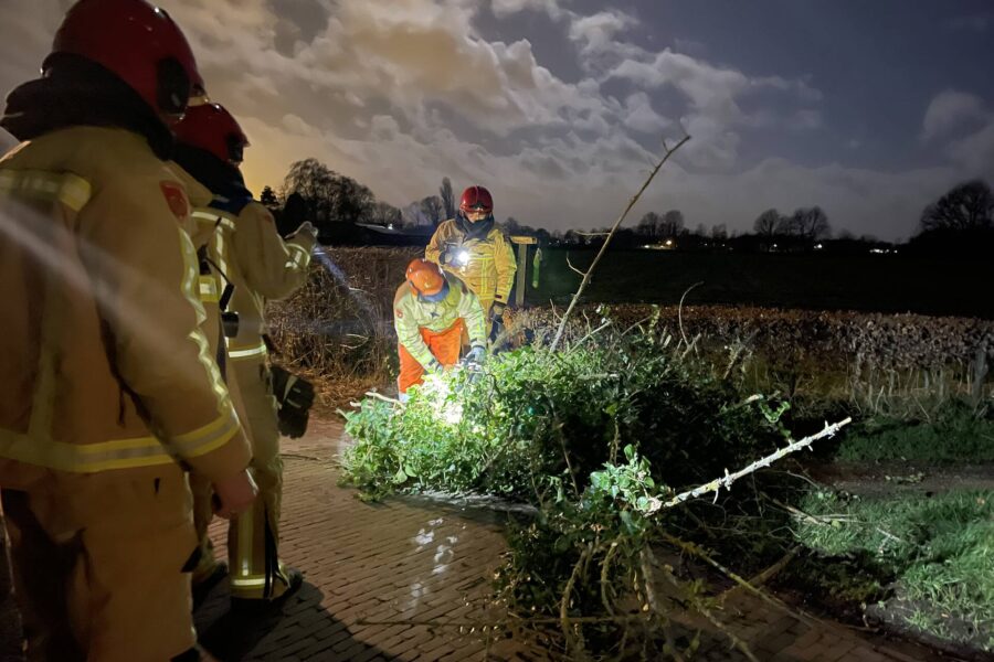 Woning in Gemert beschadigd door omgewaaide bomen