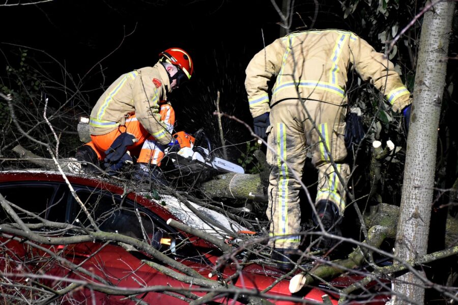 Boom valt op auto na botsing in Eindhoven, inzittende gewond naar ziekenhuis