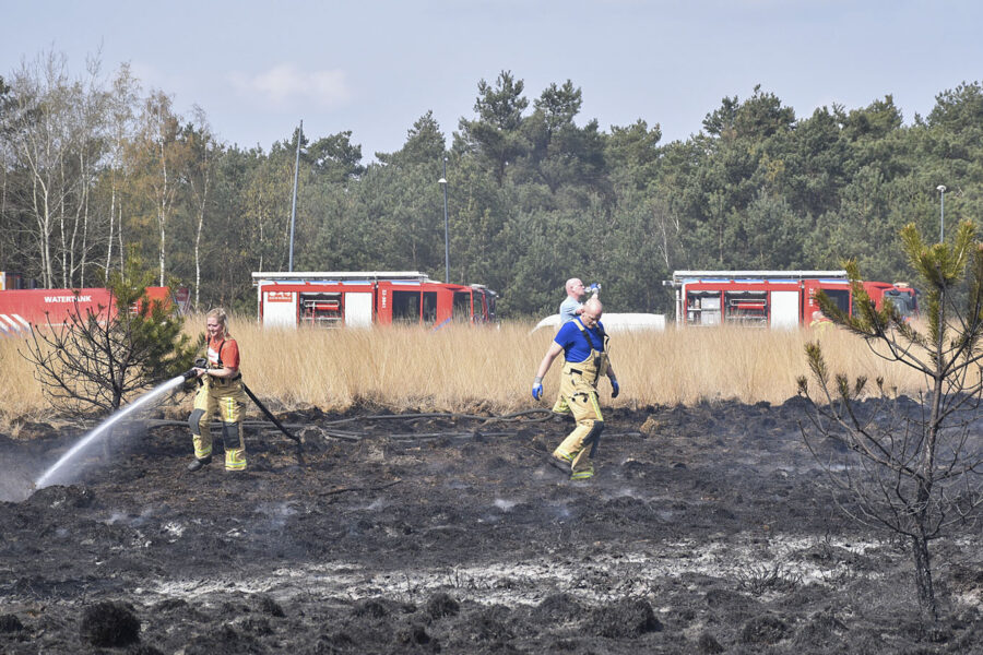 Brandweer druk met grote natuurbrand in Oirschot