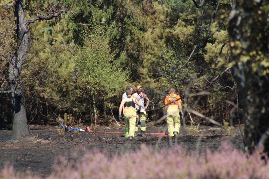 Natuurbrand in Valkenswaard snel onder controle