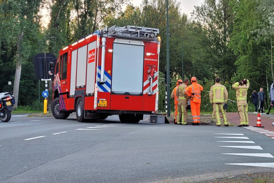 Brandweer ingezet voor omgevallen boom in Geldrop