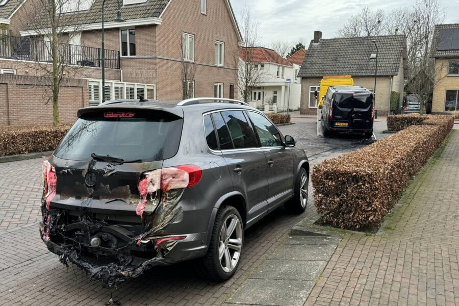 Bestelbus volledig verwoest door brand Gemert