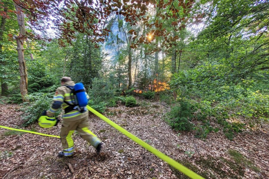 Kabinet presenteert crisisplan voor betere aanpak natuurbranden