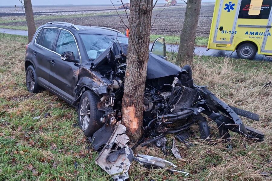 Maak wegen met bomen veiliger met vangrails