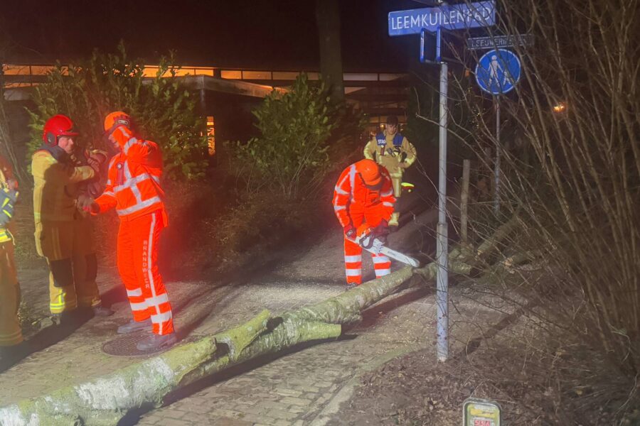 Grote boom blokkeert voetpad in Best