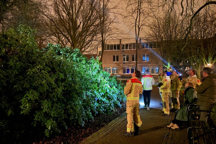 Brandweer opgeroepen voor kat in boom
