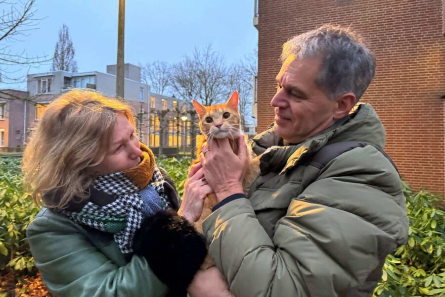 Boomverzorger Jaap redt kat na wekenlang avontuur