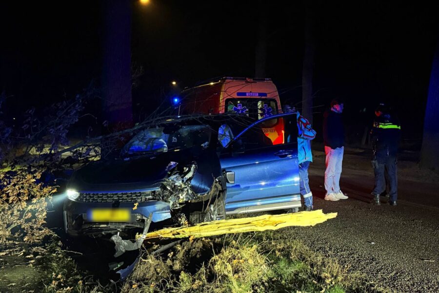 Automobilist botst tegen boom in Gemert