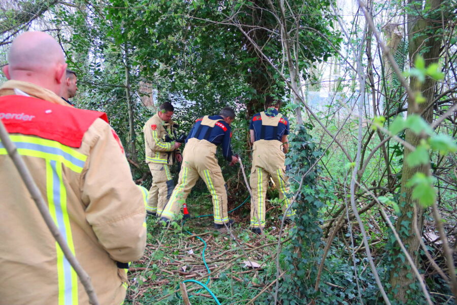 Brandweer dooft brand in boomstam met tuinslang