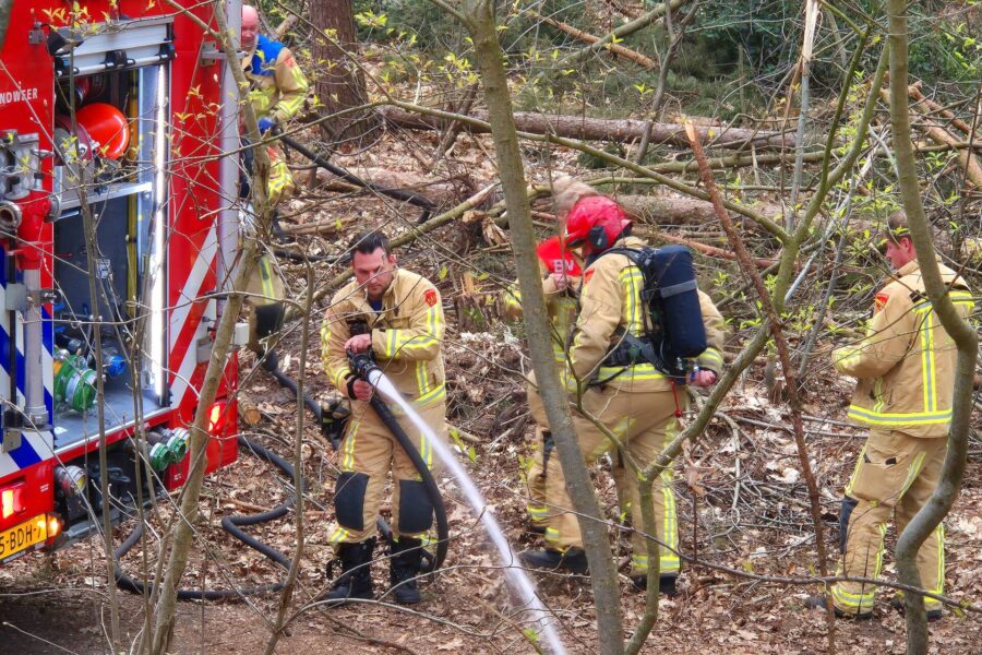 Brand in bosgebied Geldrop snel onder controle