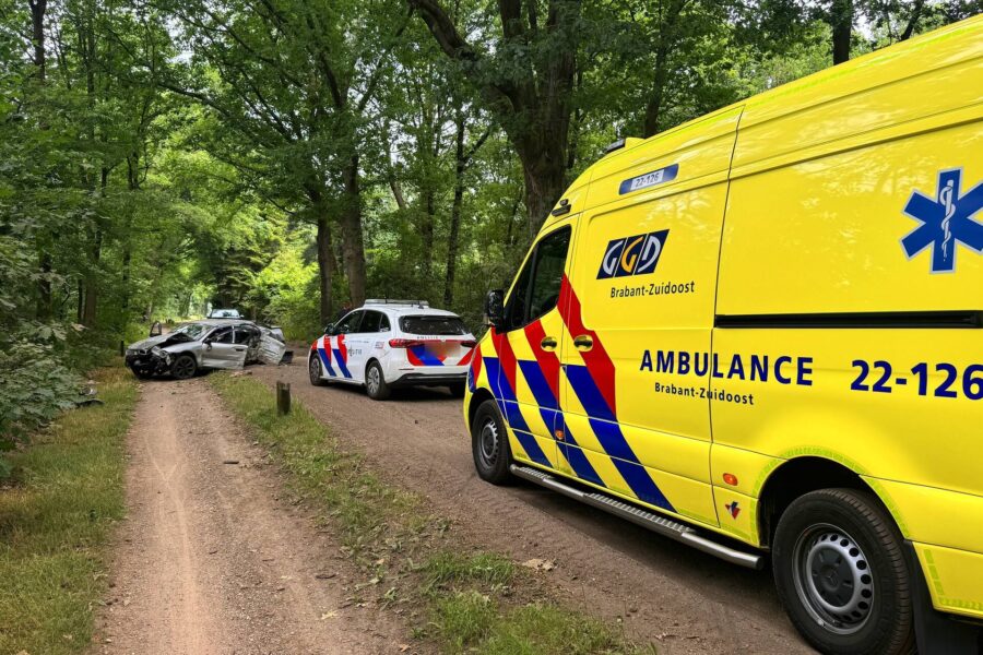 Beschonken bestuurder richt ravage aan