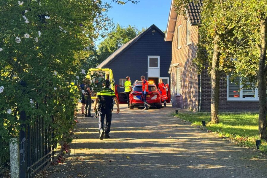 Man ernstig gewond na trap van paard in Gemert