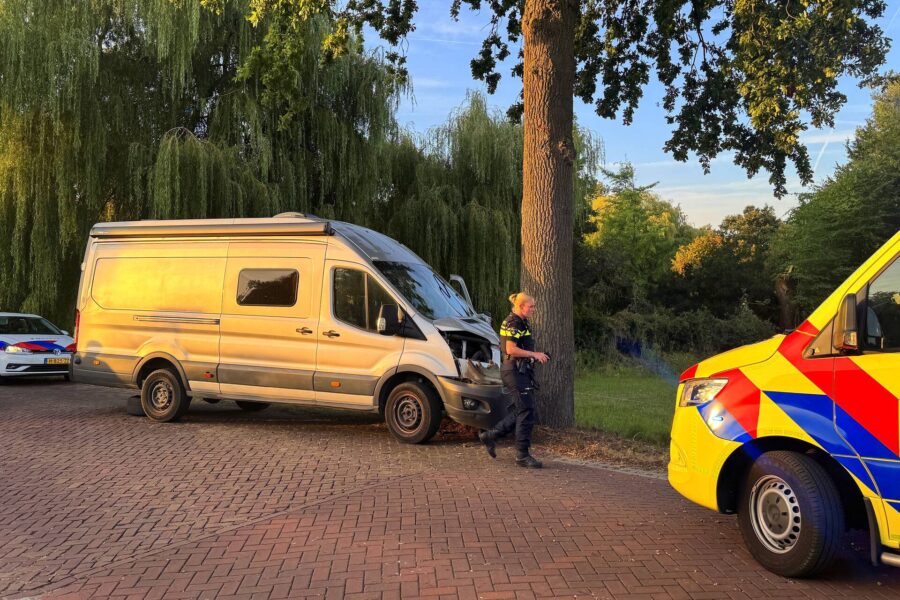 Camper botst tegen boom na bijensteek bestuurder