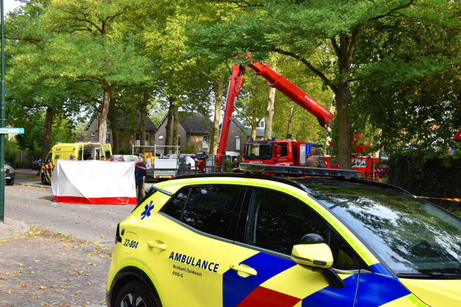 Man overlijdt na ongeluk tijdens snoeien boom