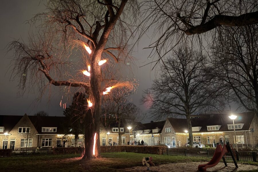 Spookboom in lichterlaaie midden in woonwijk
