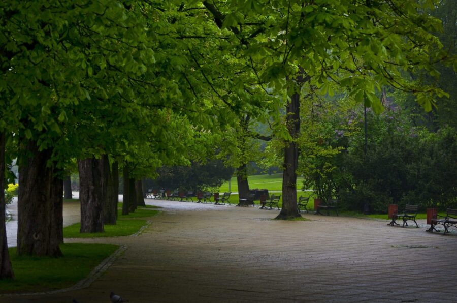 Meer groen in de buurt verlengt de levensduur